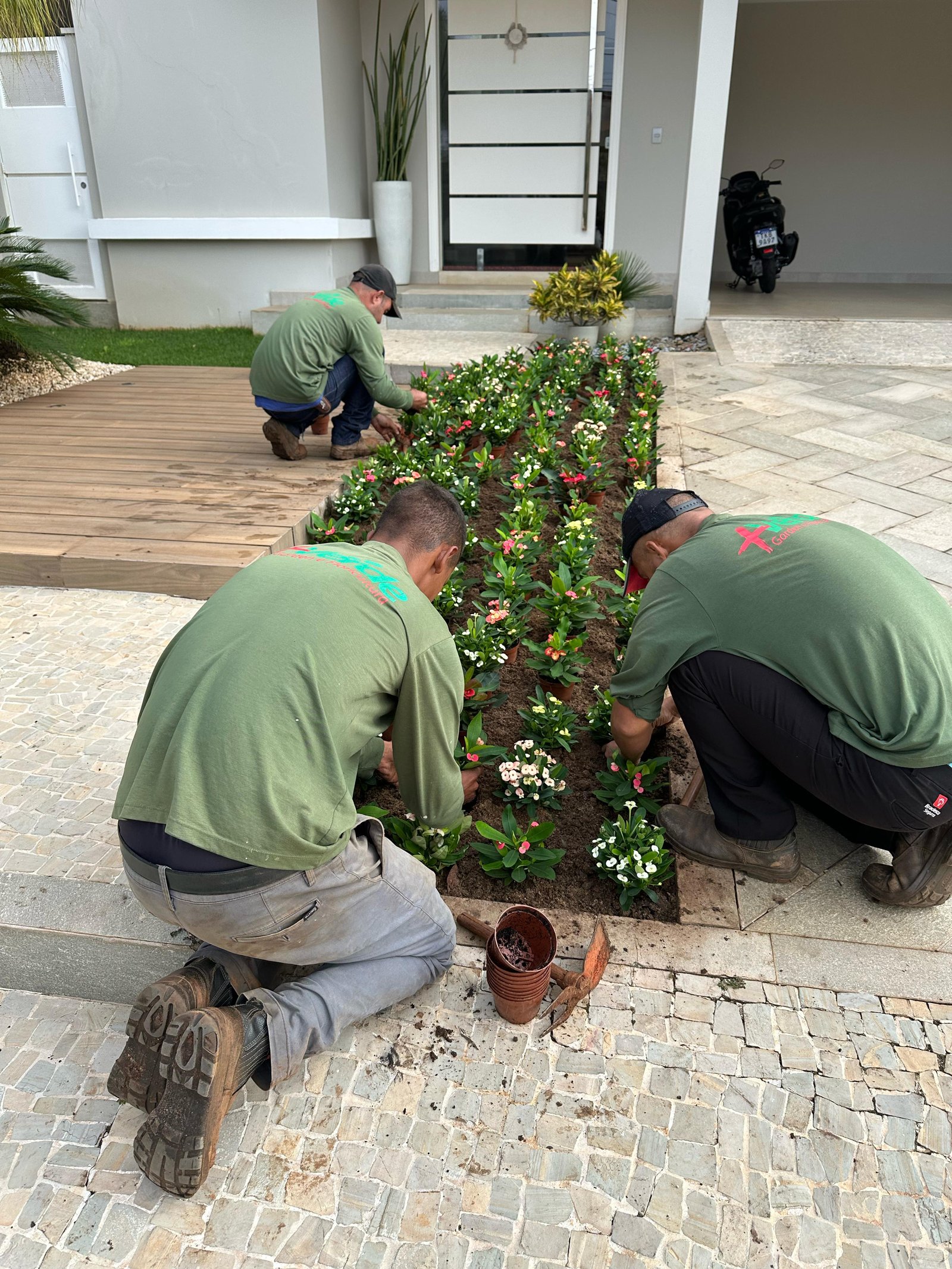 Equipe de paisagismo