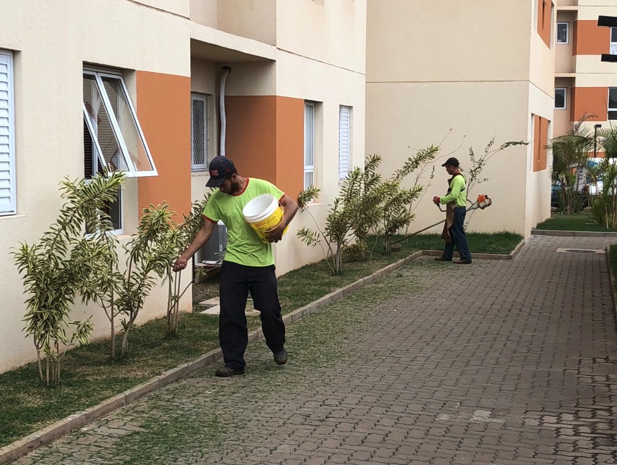 Equipe de paisagismo